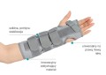Orteza nadgarstka – krótka IMMOBILO WRIST-S AR-872